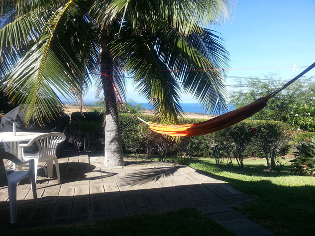 Hammock & BBQ
