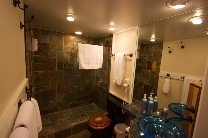 Shower in remodeled bath.