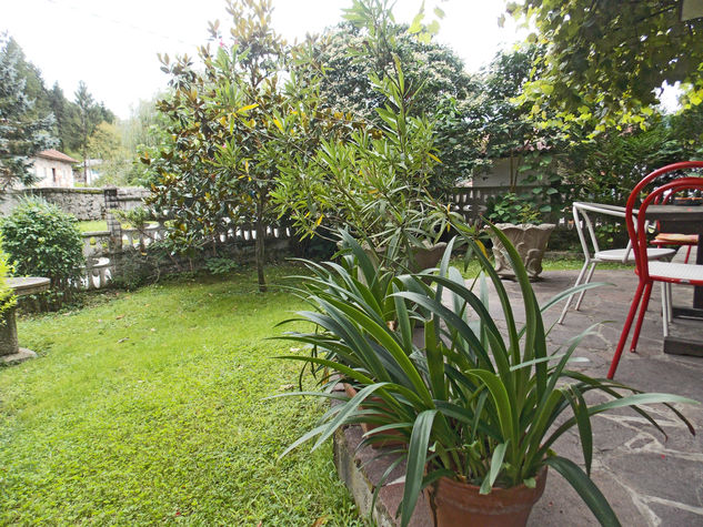 garden