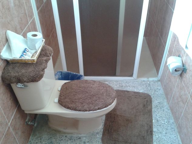 Taza de baño y regadera con agua fria y caliente.