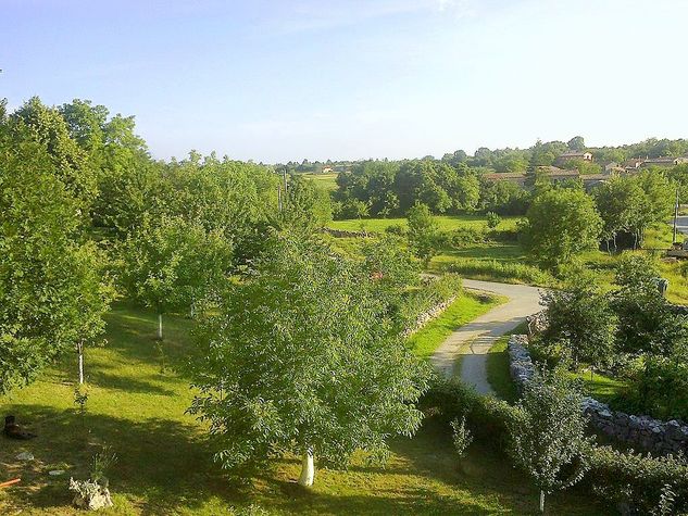 The View