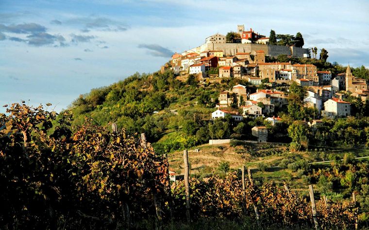 Tourist Attractions near by