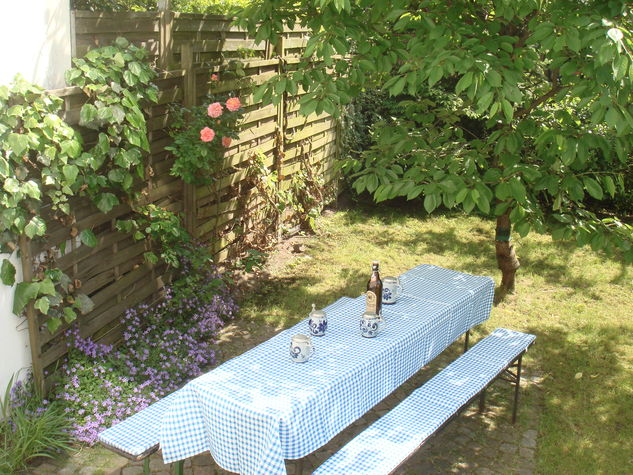 view from balcony at community garden