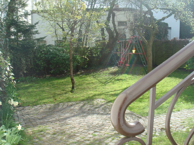 community garden (early spring)