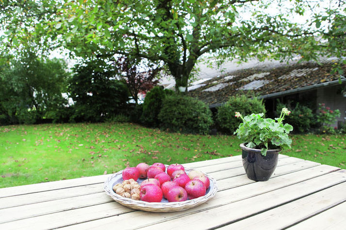 TerraceBalcony