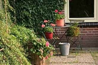 TerraceBalcony