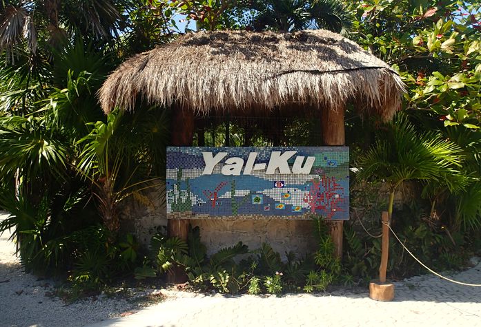 Yal-Ku lagoon is a great place for snorkeling where gorgeous fish are not intimidated by humans. (25 minutes driving)
