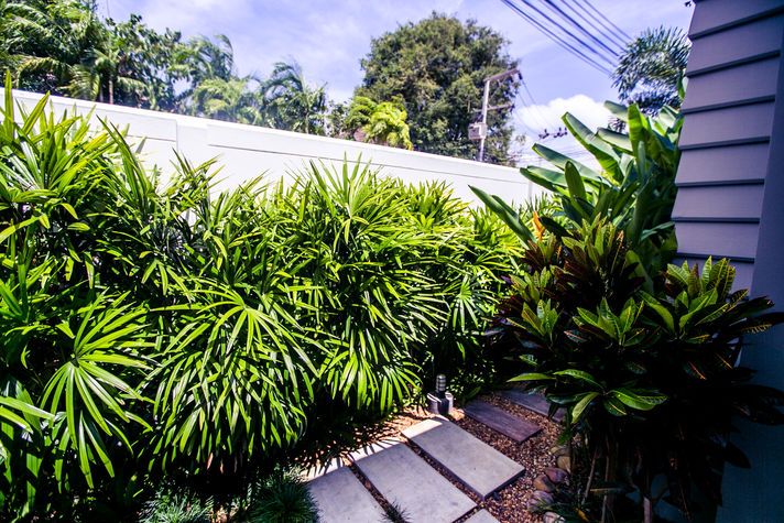 Lush tropical surroundings of the house