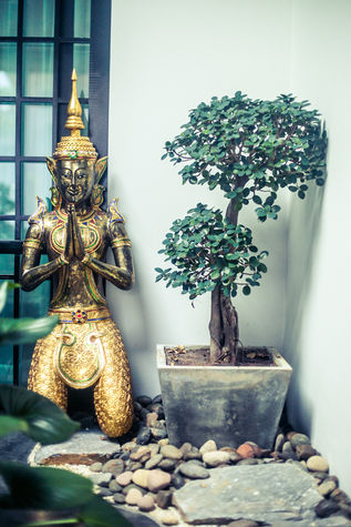 Decorations in the living