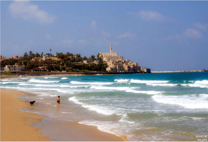 Old jaffa
Old jaffa