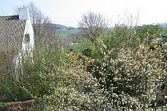 GardenSummer
