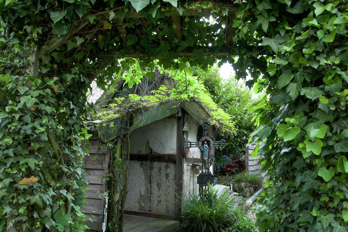 GardenSummer