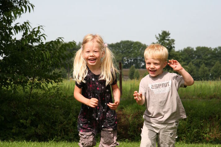 AreaSummer1KM