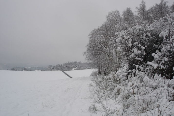AreaWinter1KM