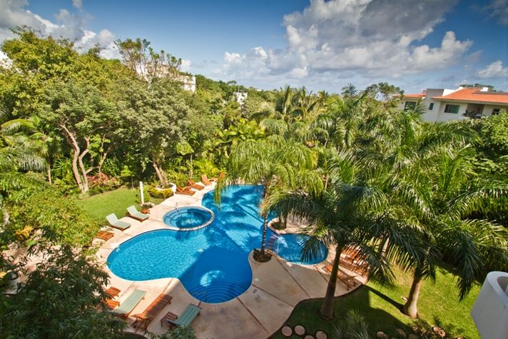 The tropical garden and pool view
The tropical garden and pool view