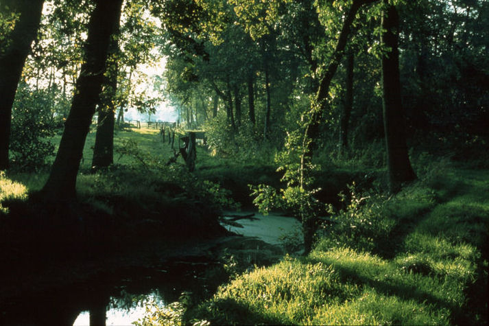 AreaSummer1KM