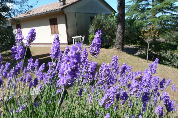 ExteriorSummer