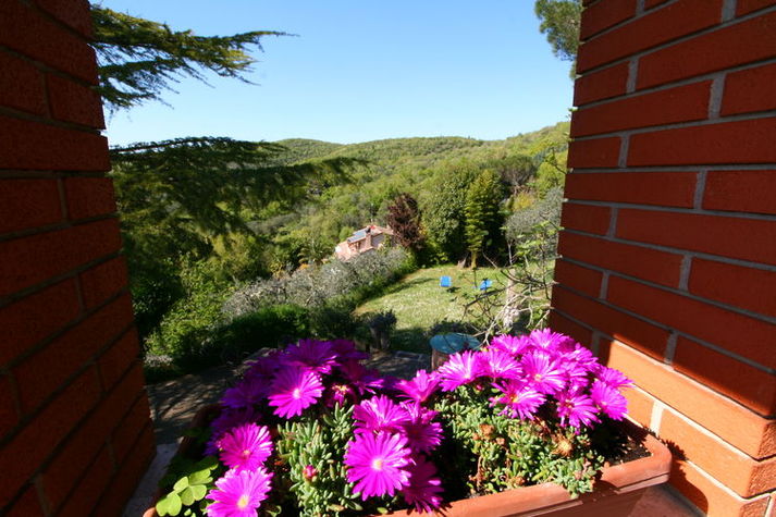 GardenSummer