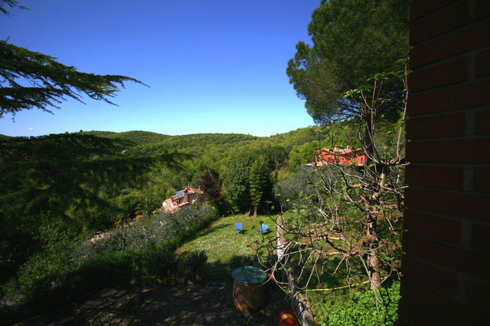 GardenSummer