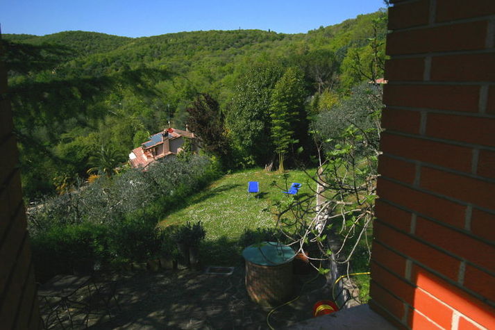 GardenSummer