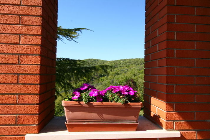 ViewSummer