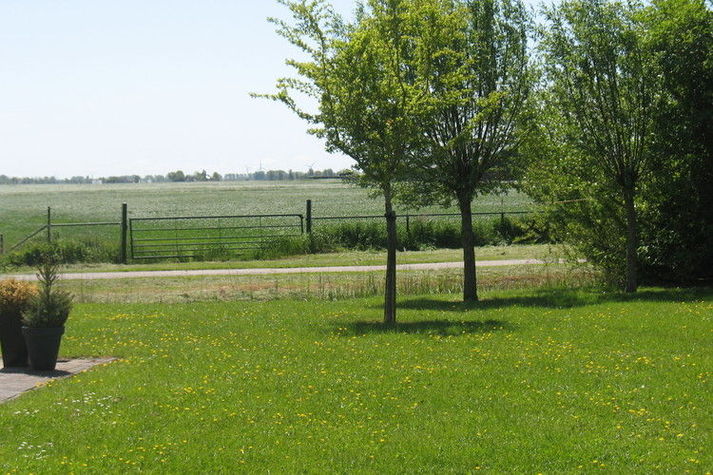 AreaSummer1KM