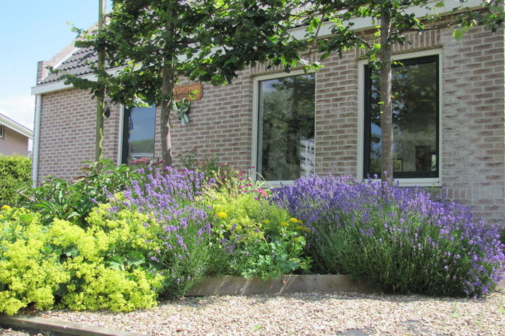 GardenSummer