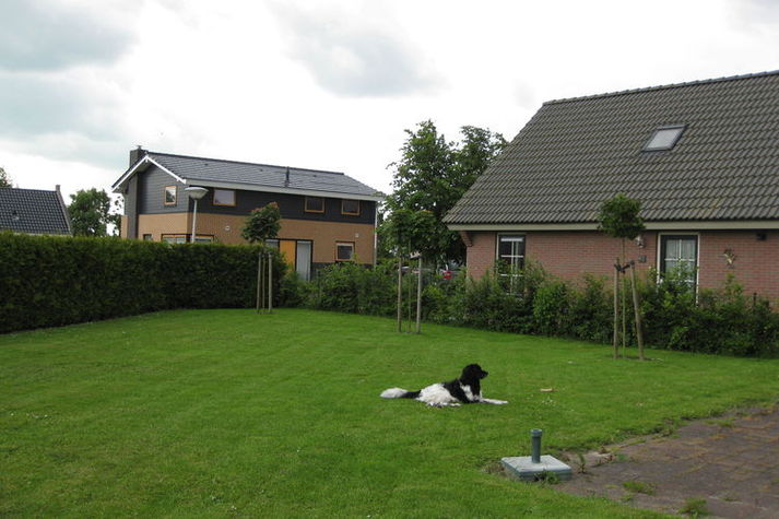 GardenSummer
