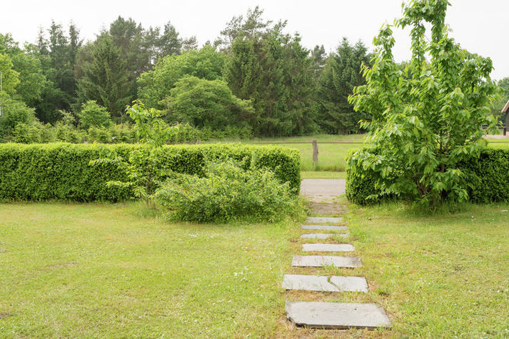GardenSummer