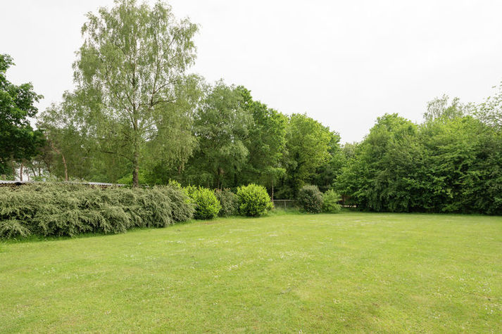 GardenSummer