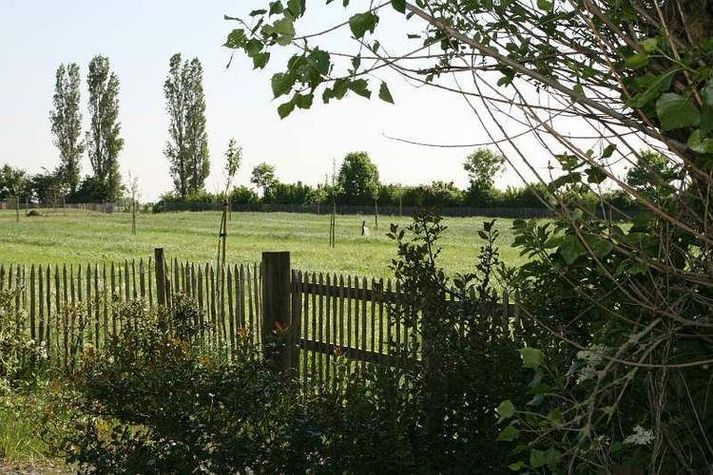 GardenSummer