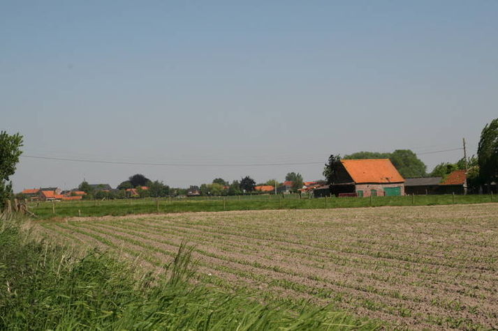 AreaSummer1KM