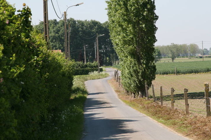 AreaSummer1KM