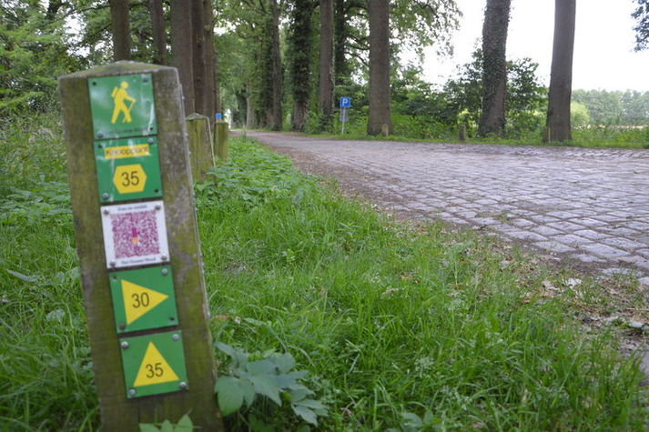 AreaSummer20KM