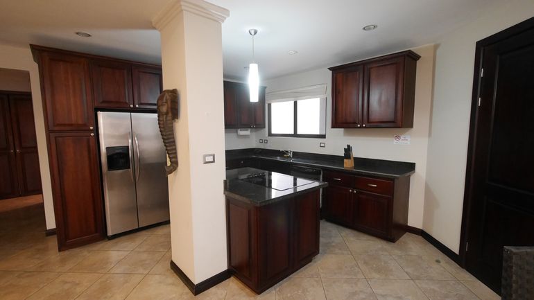Open American Kitchen with Stove, oven, microwave, blender, toaster, two door fridge, coffee maker and all kitchen utensils