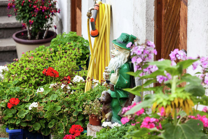 GardenSummer