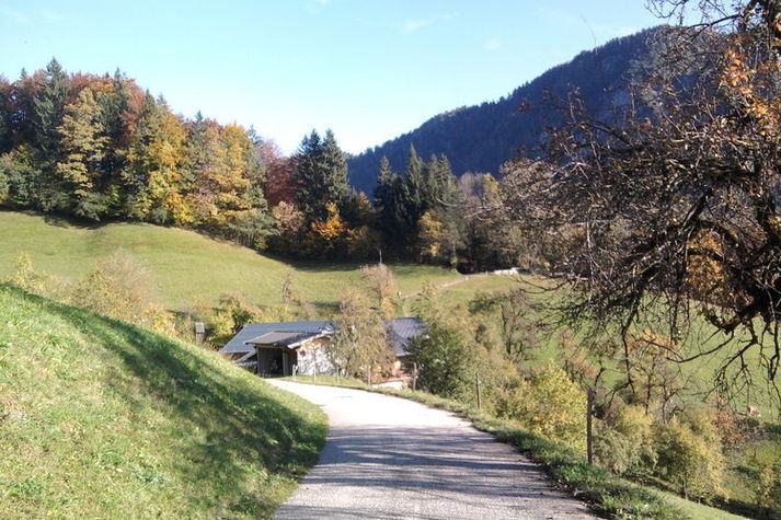 ViewSummer