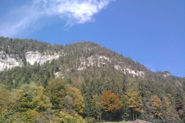 ViewSummer