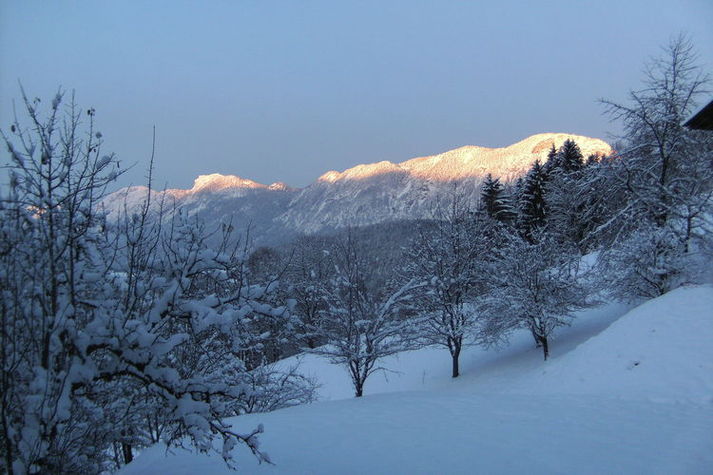ViewWinter