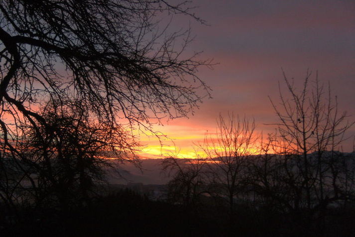ViewWinter