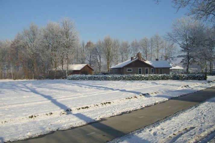 ViewWinter
