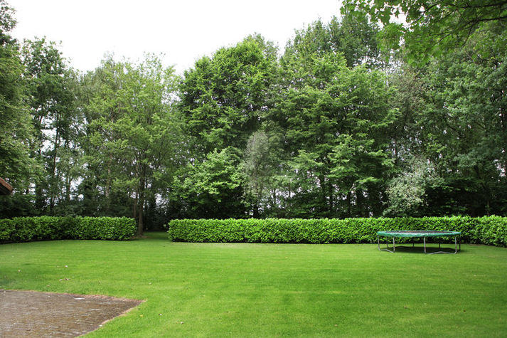 GardenSummer