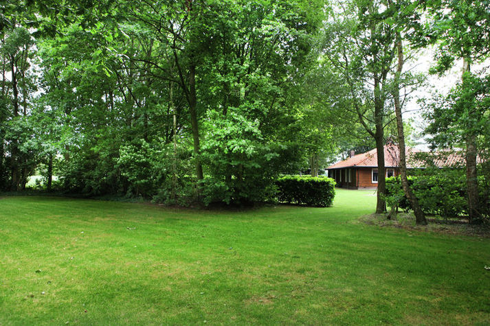GardenSummer
