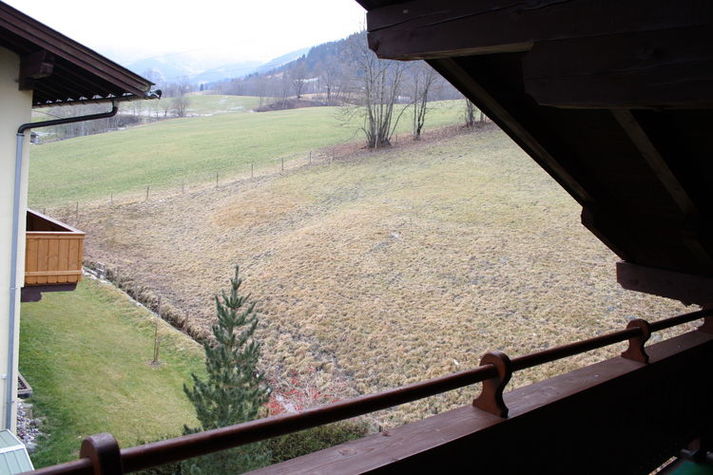 ViewSummer