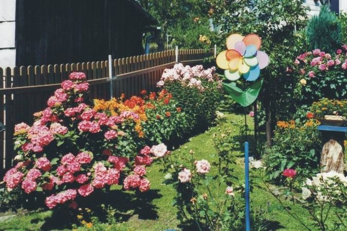 GardenSummer