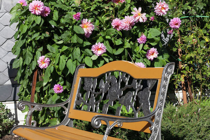 GardenSummer
