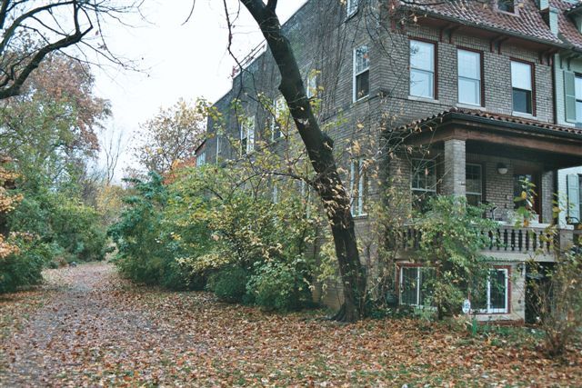 House on the edge of the park