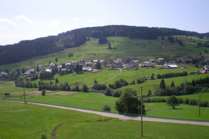 ViewSummer