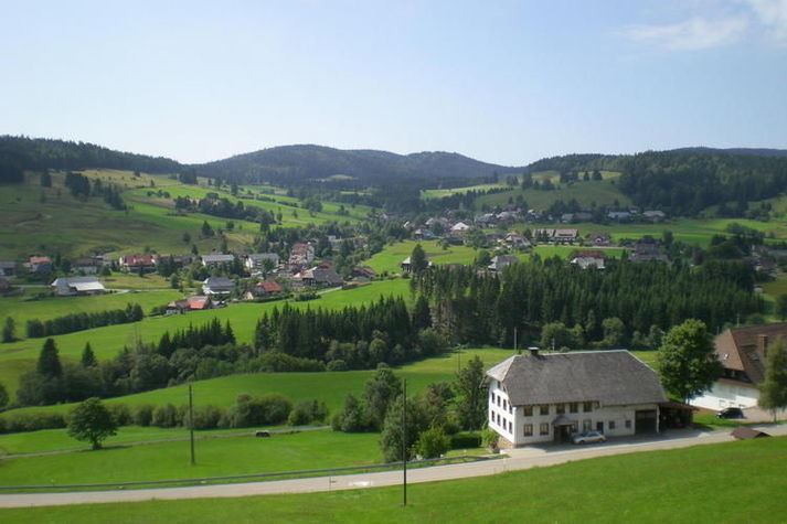 ViewSummer