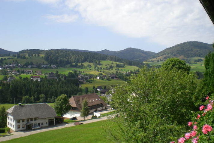 ViewSummer